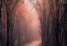 爱游戏体育app-意大利运动员斩获头筹，实力出众