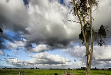 爱游戏官网-保加利亚主场力擒法国，取得难得胜利