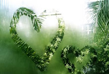 爱游戏 ayx 中国官方网站_ayx sports-雷腾龙：国安球员挺困难都不敢想奖金，上半赛季全队付出了80%，雷腾芳最新消息