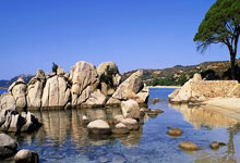 爱游戏 ayx 中国官方网站_ayx sports-雷腾龙：国安球员挺困难都不敢想奖金，上半赛季全队付出了80%，雷腾芳最新消息