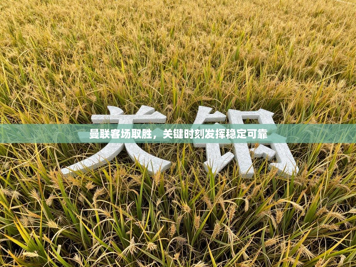 爱游戏娱乐-曼联客场取胜,关键时刻发挥稳定可靠 第1张